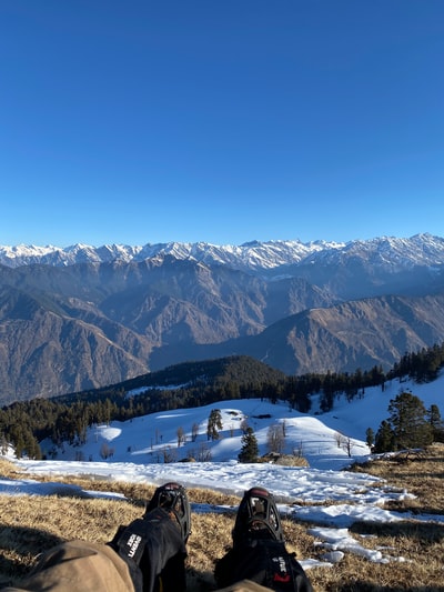 绿色的树在山区白天附近雪覆盖了地面
